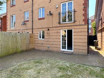 Picture 20